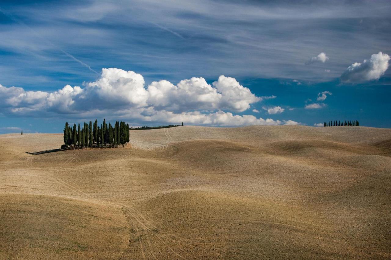 Chimera Tuscany Resort Arezzo Exterior photo